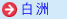 白洲